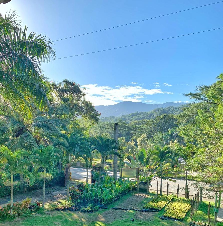 Hotel La Casablanca Tayrona Калабасо Экстерьер фото