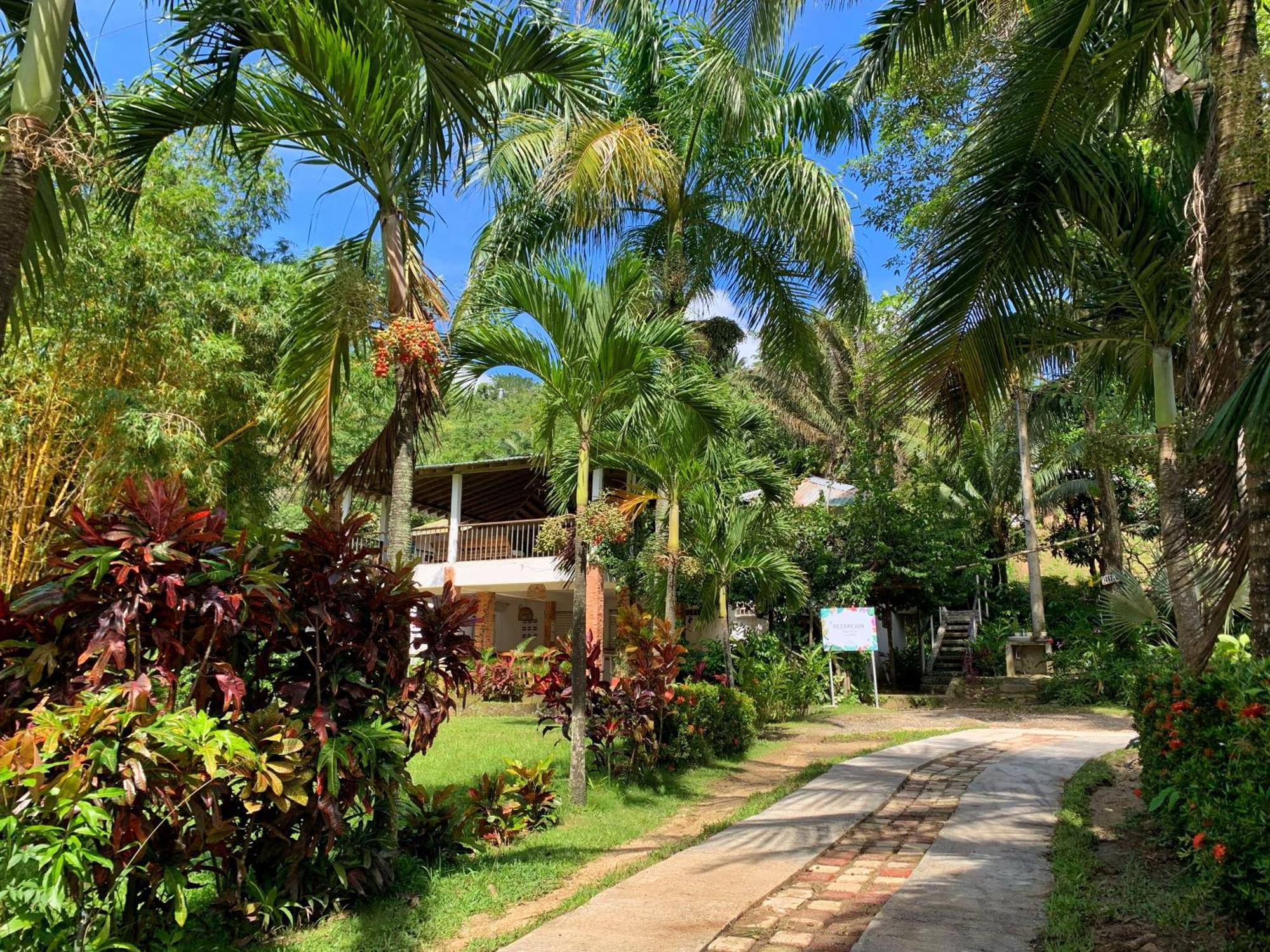 Hotel La Casablanca Tayrona Калабасо Экстерьер фото